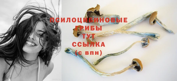 бошки Алексеевка