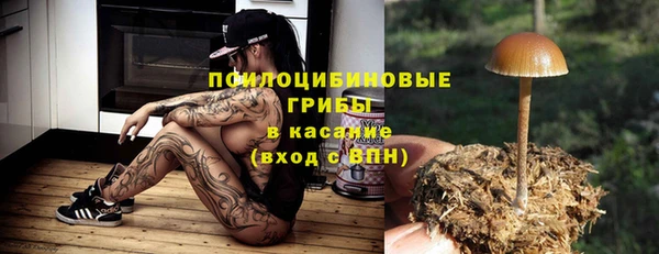 ПСИЛОЦИБИНОВЫЕ ГРИБЫ Алексин