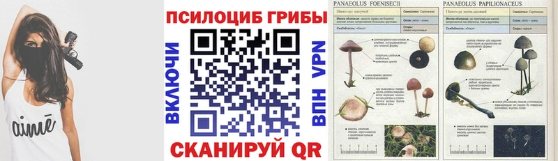 купить наркоту  Углич  Псилоцибиновые грибы MAGIC MUSHROOMS 